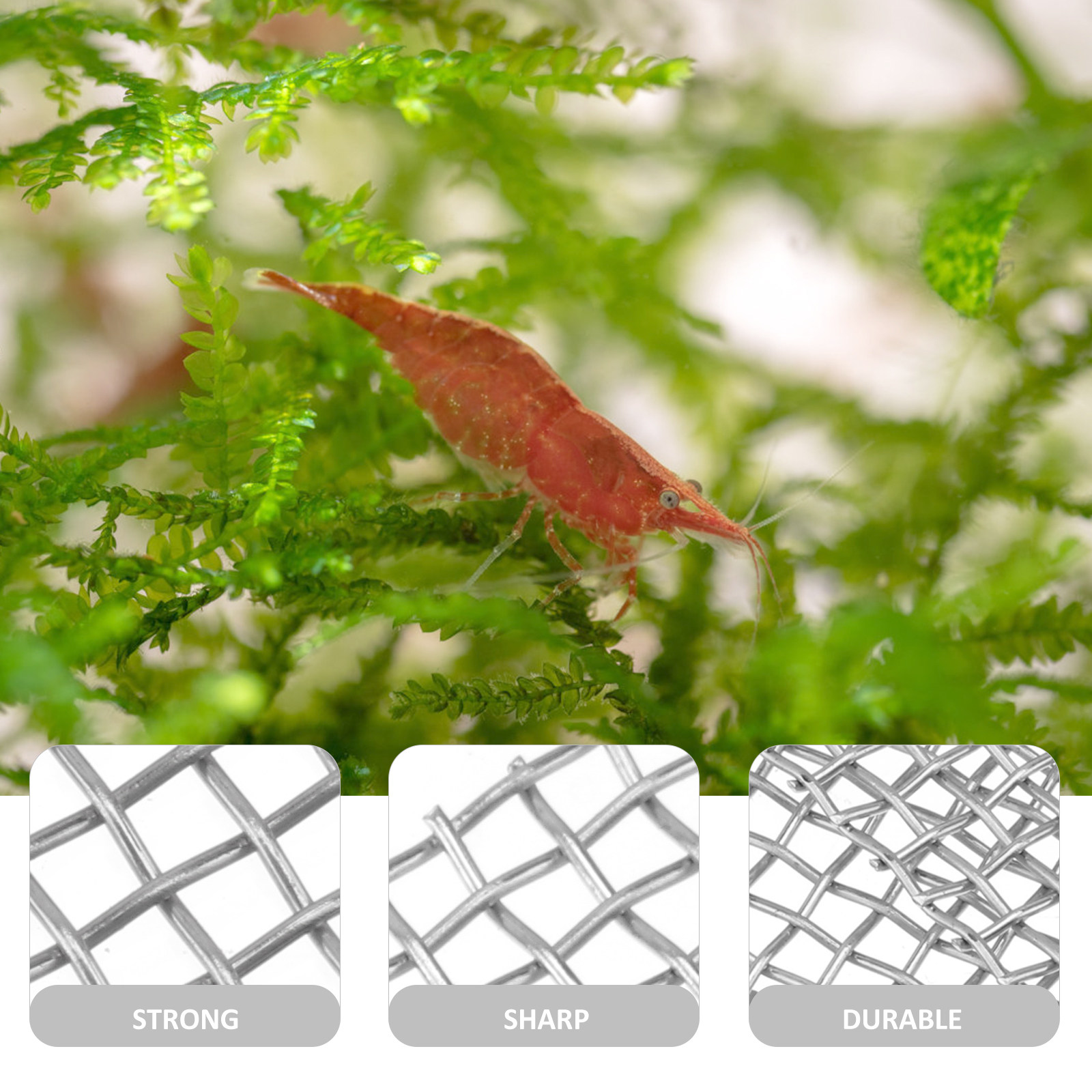 Planted Aquarium Carpet Plant - 10Pcs Plant Moss Carpet Net Stainless