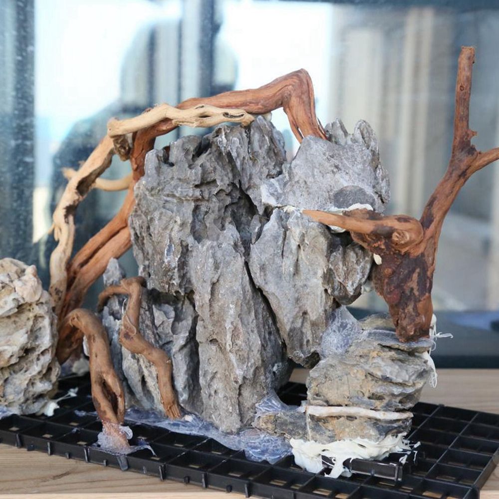 Planted Aquarium With Driftwood - N1N Wood Reptile Tank Background Aquarium
