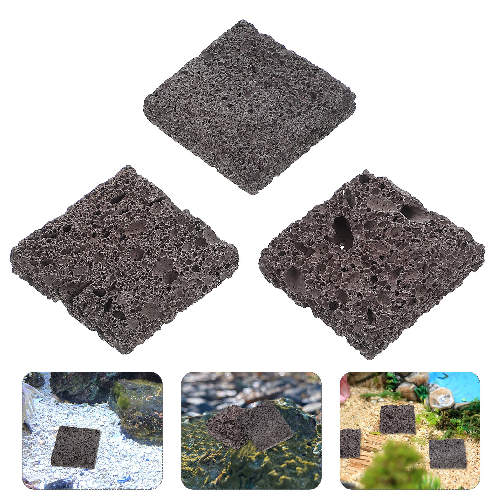 Planted Aquarium Anubias - 3Pcs Volcanic Rock Aquascaping Pieces for