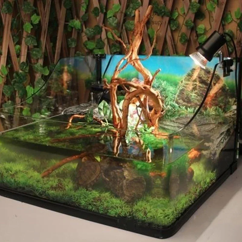 Planted Aquarium With Driftwood - Natural Tree Trunk Driftwood Aquarium Fish