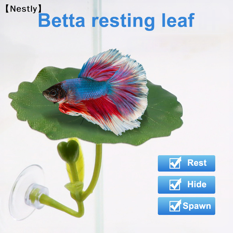 Planted Aquarium Betta - 1Pc Green Leaf Hammock For Betta