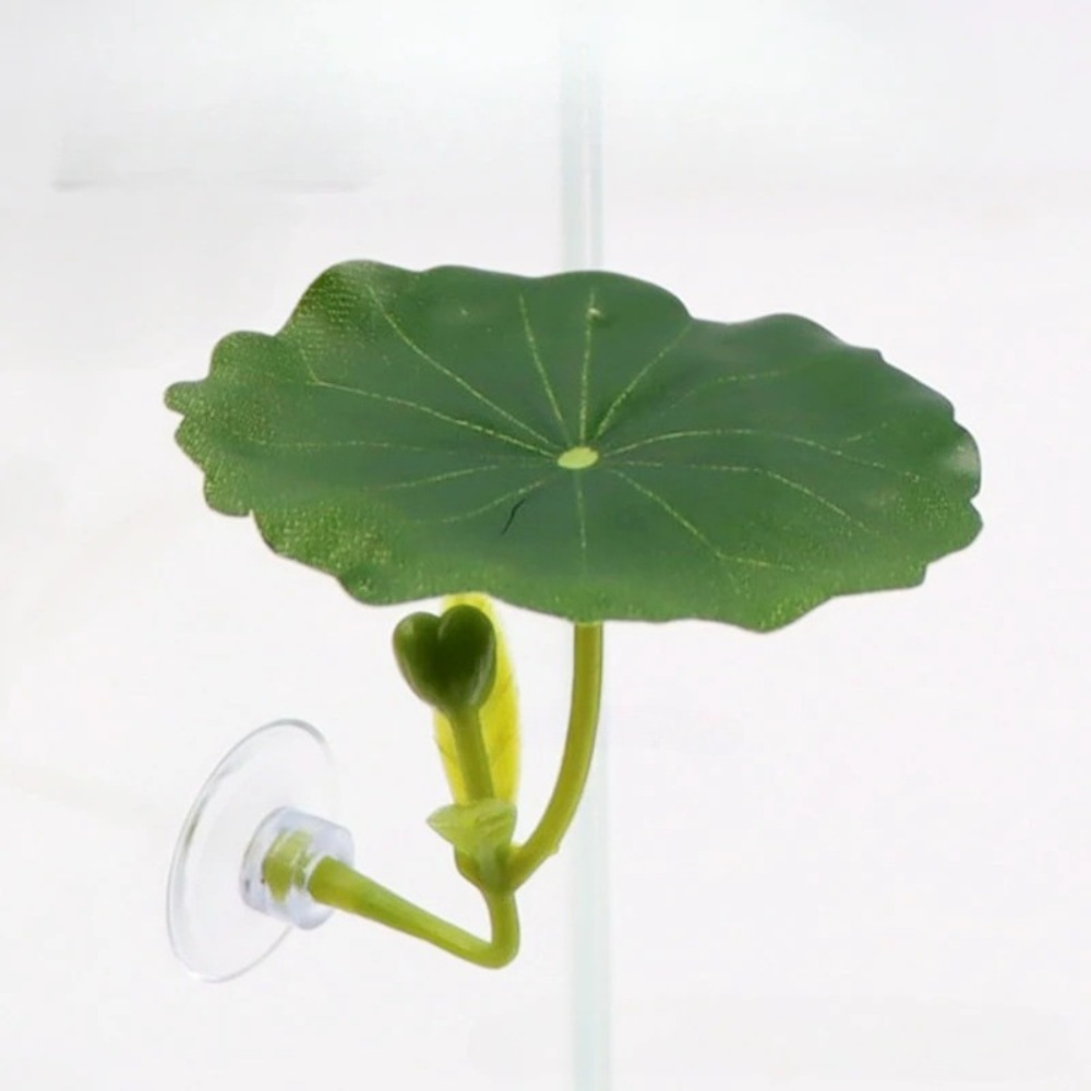 Lotus leaf Betta Fish Hammock  - Planted Aquarium Betta incelemesi ve fiyatı