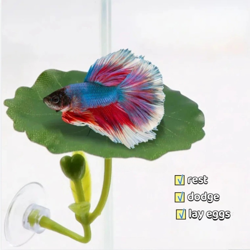 Lotus leaf Betta Fish Hammock  - Planted Aquarium Betta incelemesi ve fiyatı