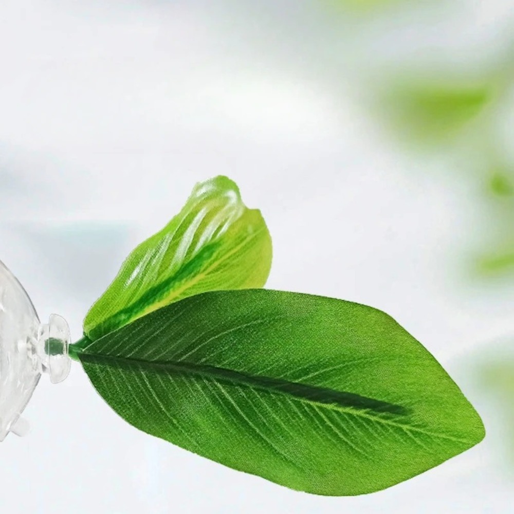 Lotus leaf Betta Fish Hammock  - Planted Aquarium Betta incelemesi ve fiyatı