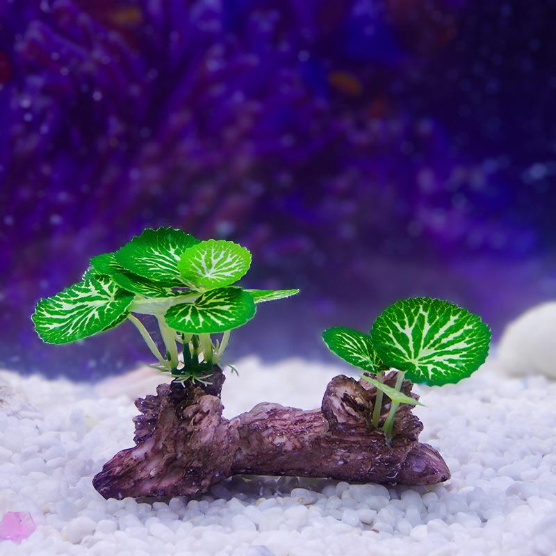 Aquarium Ornaments Simulation  - Aquarium Plant Grass incelemesi ve fiyatı