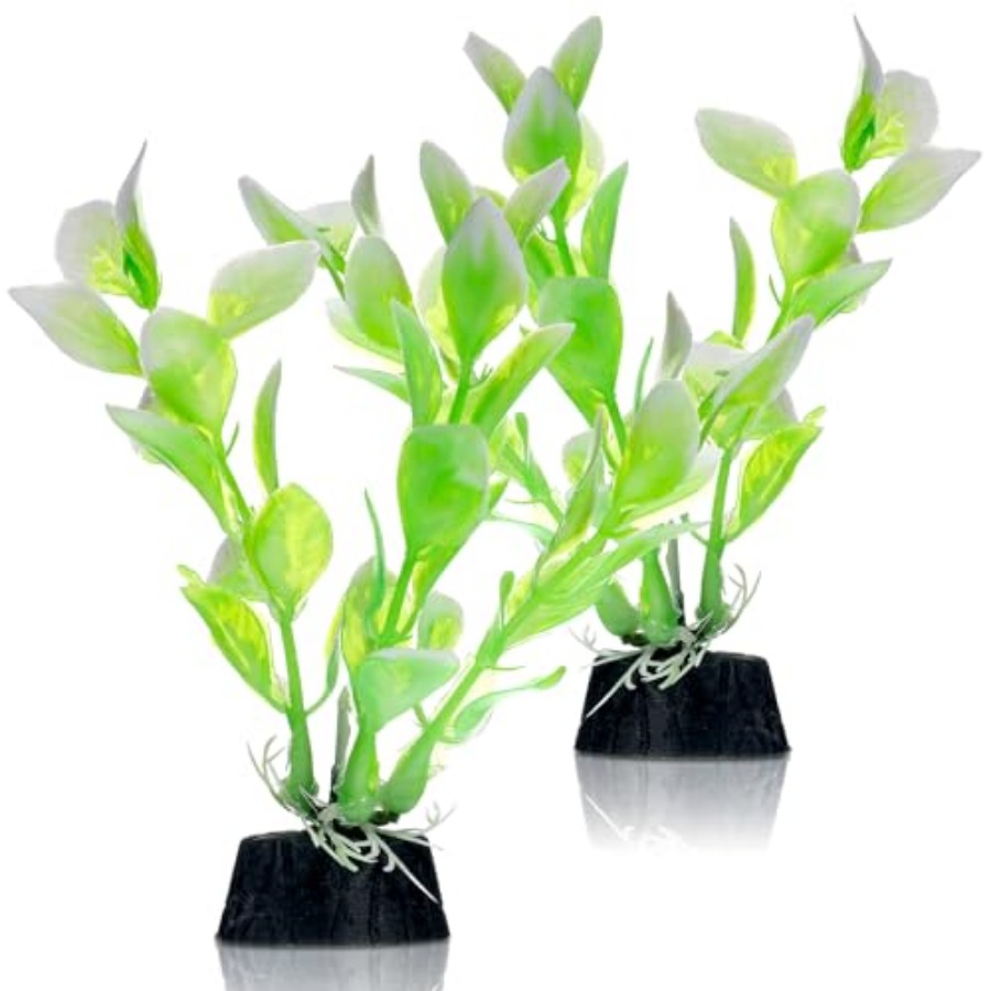 2 Pcs 4 Inch Small Aquarium Pl - Planted Aquarium Betta incelemesi ve fiyatı