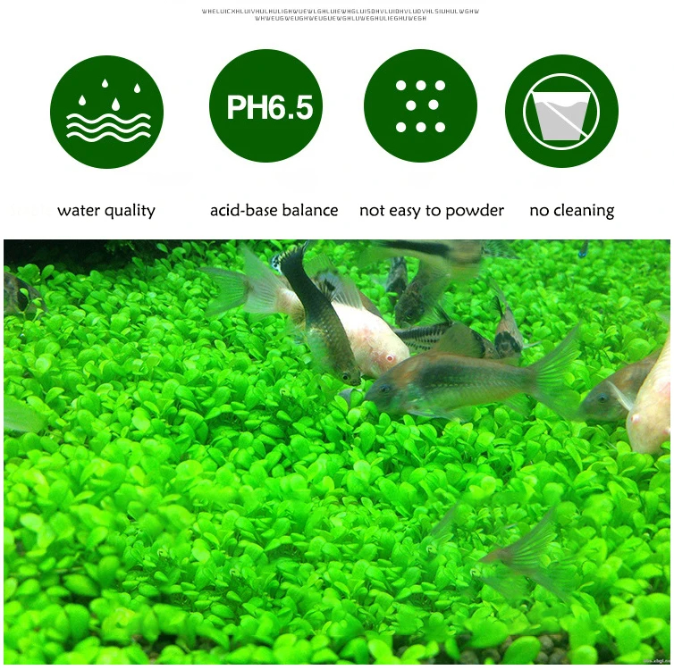 Fish Tank Water Grass Mud Plan - Aquarium Plant Fertilizer incelemesi ve fiyatı