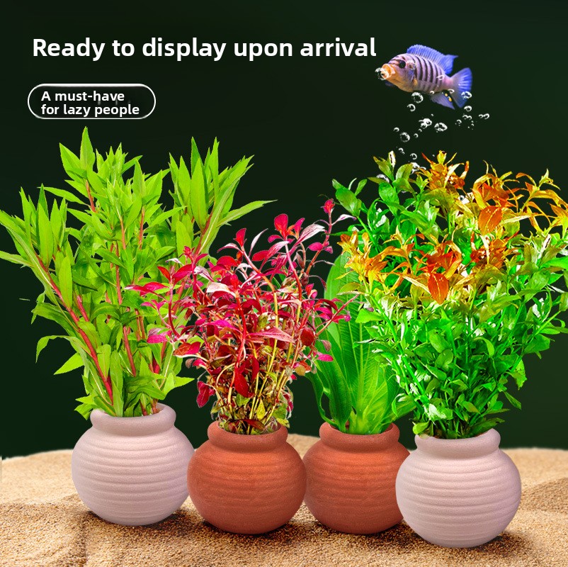 cmomo Aquarium Plant Anchors - - Planted Aquarium Anubias incelemesi ve fiyatı