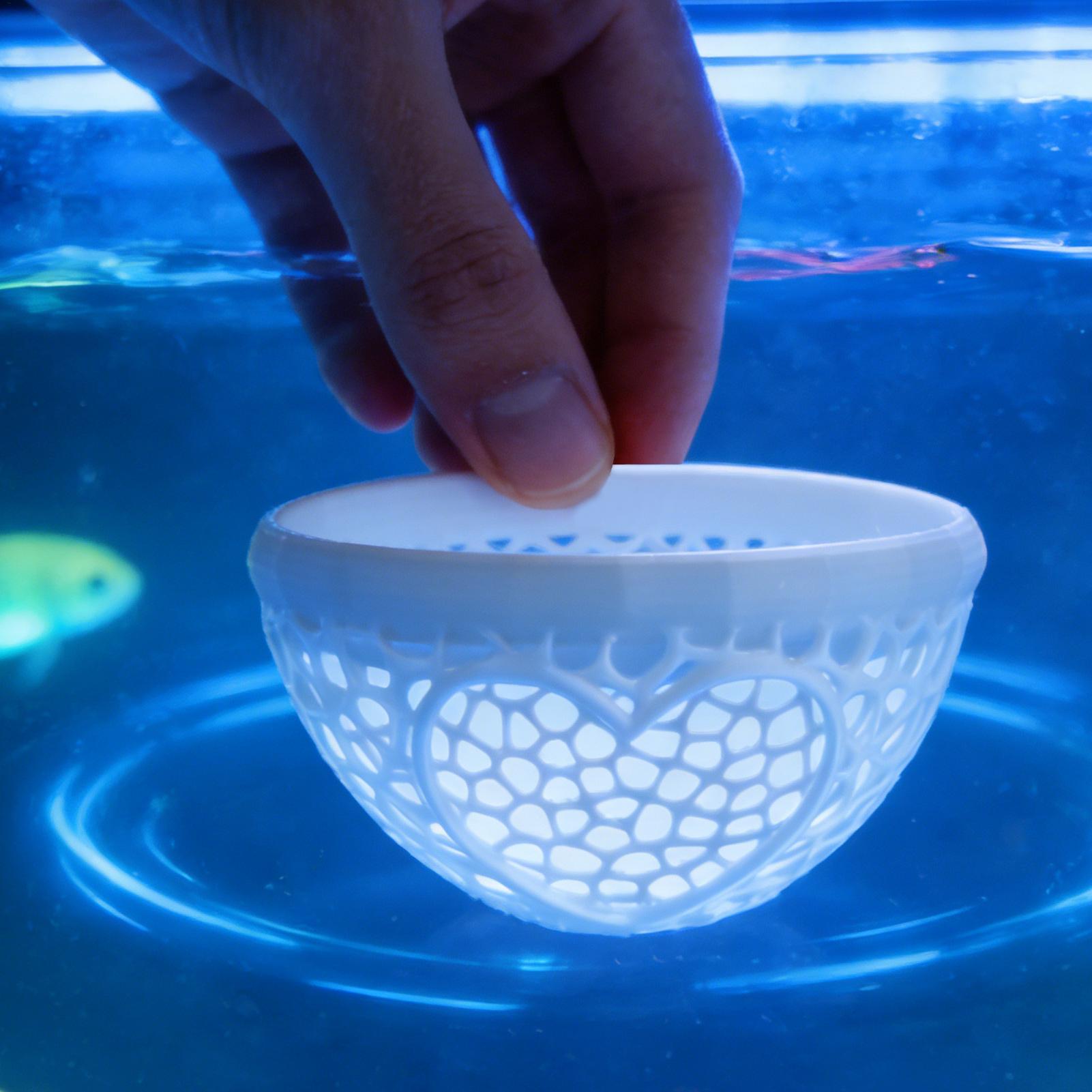 Floating betta shelter Betta h - Planted Aquarium Betta incelemesi ve fiyatı