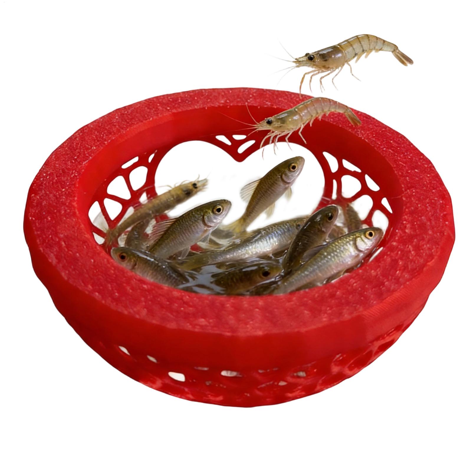 Floating betta shelter Betta h - Planted Aquarium Betta incelemesi ve fiyatı