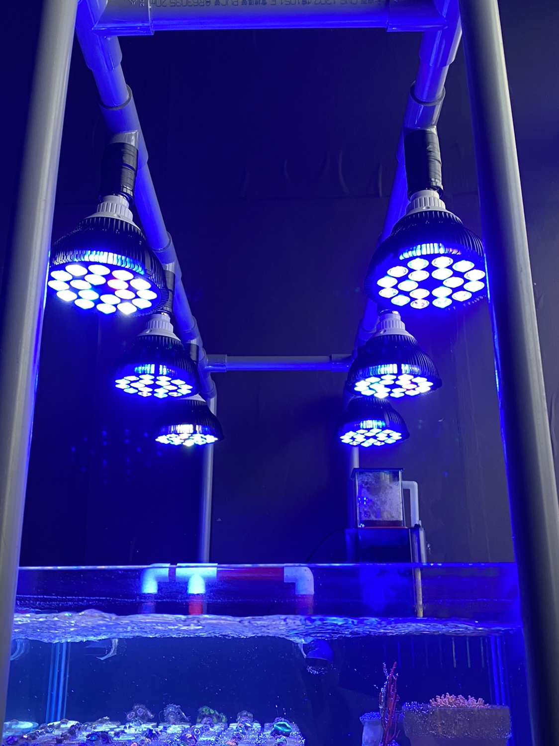 Full specturm LED Aquarium Ree - Led Planted Tank Light incelemesi ve fiyatı