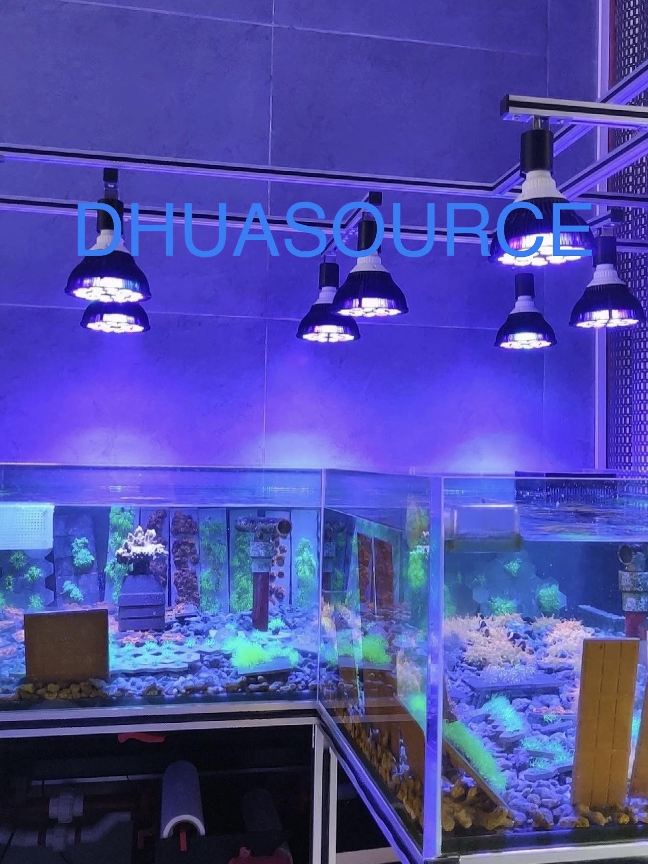Full specturm LED Aquarium Ree - Led Planted Tank Light incelemesi ve fiyatı
