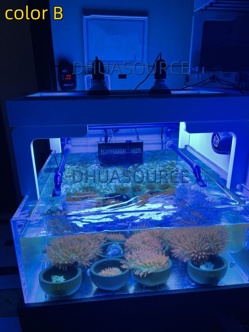 Full specturm LED Aquarium Ree - Led Planted Tank Light incelemesi ve fiyatı