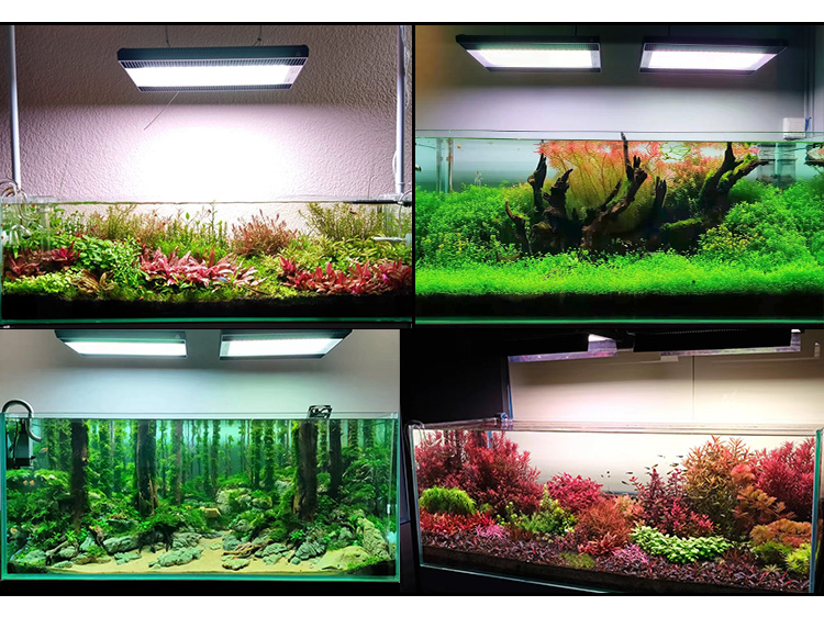 WEEK AQUA A430Pro LED Aquarium - Planted Aquarium Uv Light incelemesi ve fiyatı