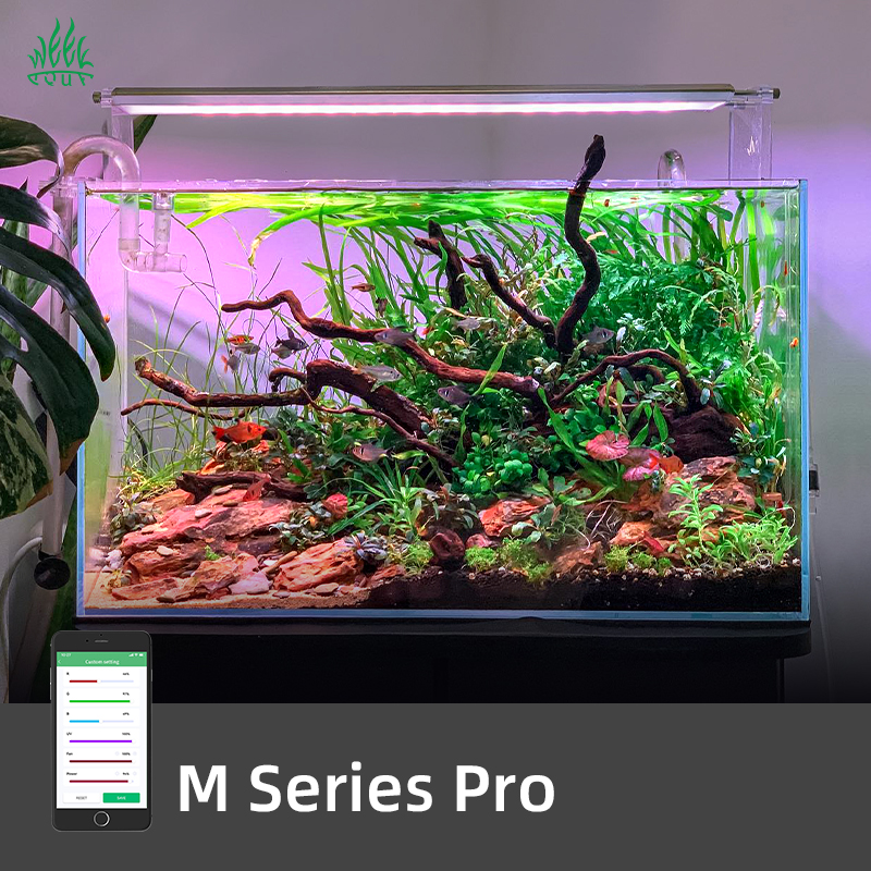 M1200Pro RGB UV Full Spectrum  - Planted Aquarium Uv Light incelemesi ve fiyatı