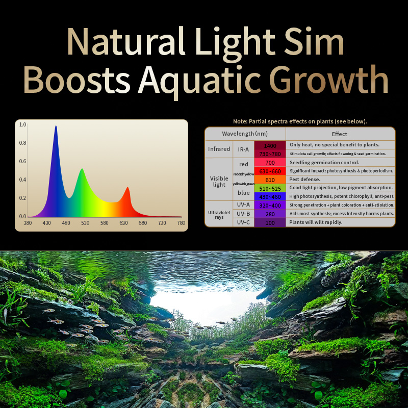 KASSRAY T200/T300 IR-A+UV Natu - Planted Aquarium Uv Light incelemesi ve fiyatı