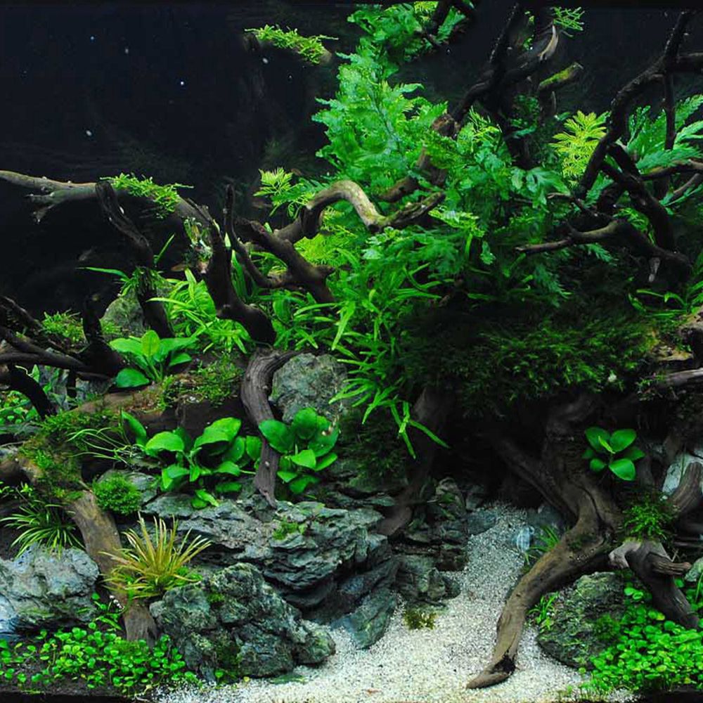 N1N Wood Reptile Tank Backgrou - Planted Aquarium With Driftwood incelemesi ve fiyatı