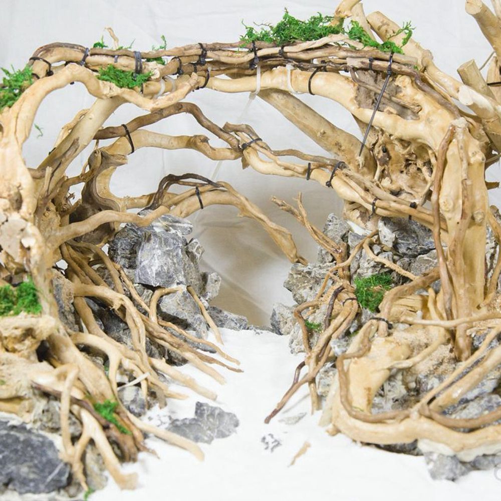 N1N Wood Reptile Tank Backgrou - Planted Aquarium With Driftwood incelemesi ve fiyatı