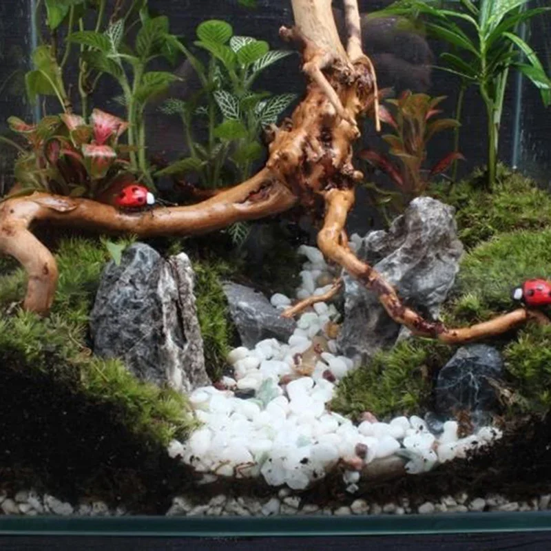 Natural Tree Trunk Driftwood A - Planted Aquarium With Driftwood incelemesi ve fiyatı