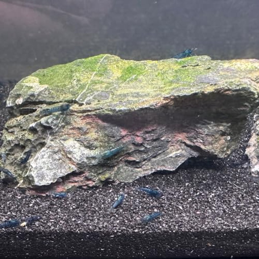 Aquarium Sand, 0 Fish Tank San - Aquarium Planted Tank Substrate incelemesi ve fiyatı