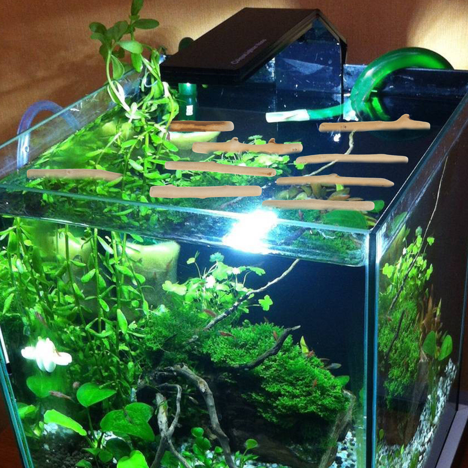 1Set Natural Driftwood Decorat - Planted Aquarium With Driftwood incelemesi ve fiyatı