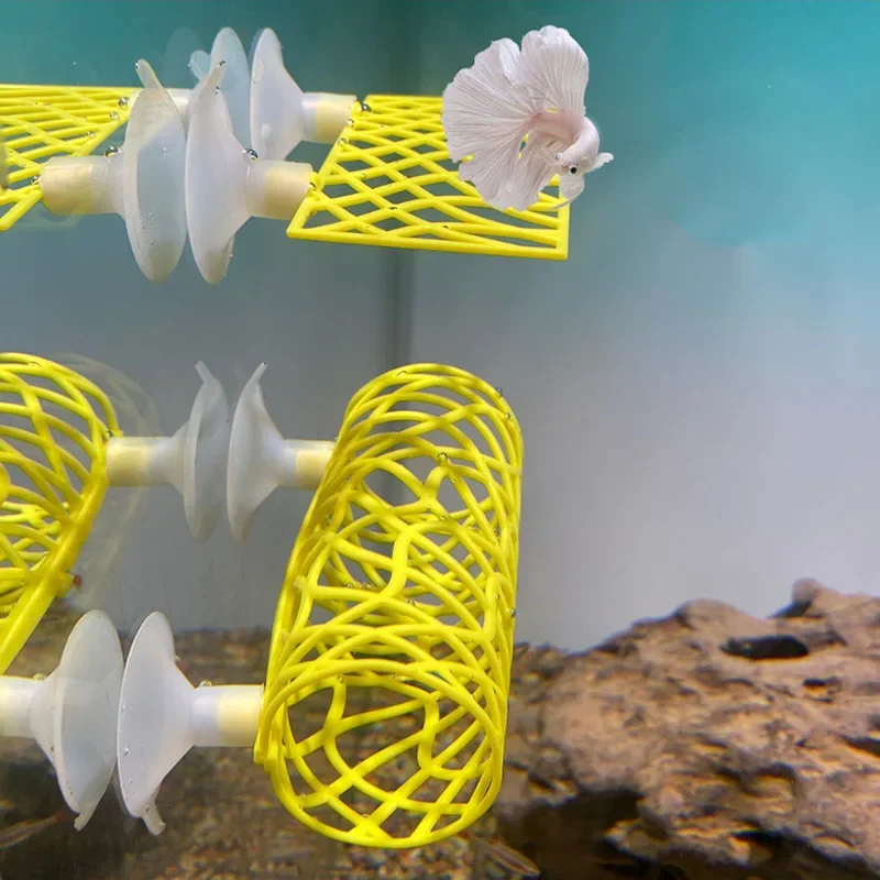 Plastic Fish Tank Aquarium Art - Planted Aquarium Betta incelemesi ve fiyatı