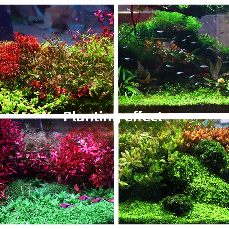 SYSENCIAGA Planted Aquarium Su - Aquarium Planted Tank Fertilizer incelemesi ve fiyatı