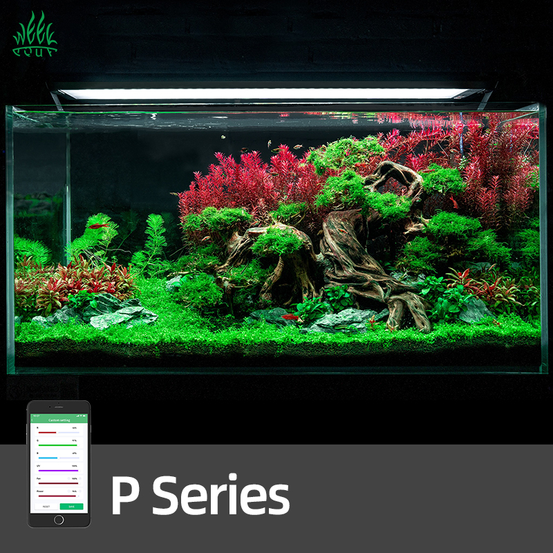 WEEK AQUA Pandora P Series Aqu - Planted Aquarium Uv Light incelemesi ve fiyatı