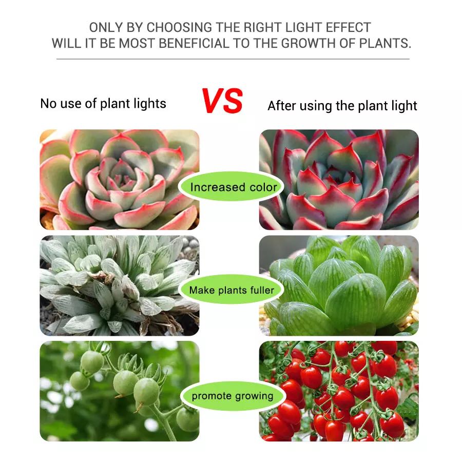 LED5V Light Bar Flower Aquariu - Planted Aquarium Hours incelemesi ve fiyatı