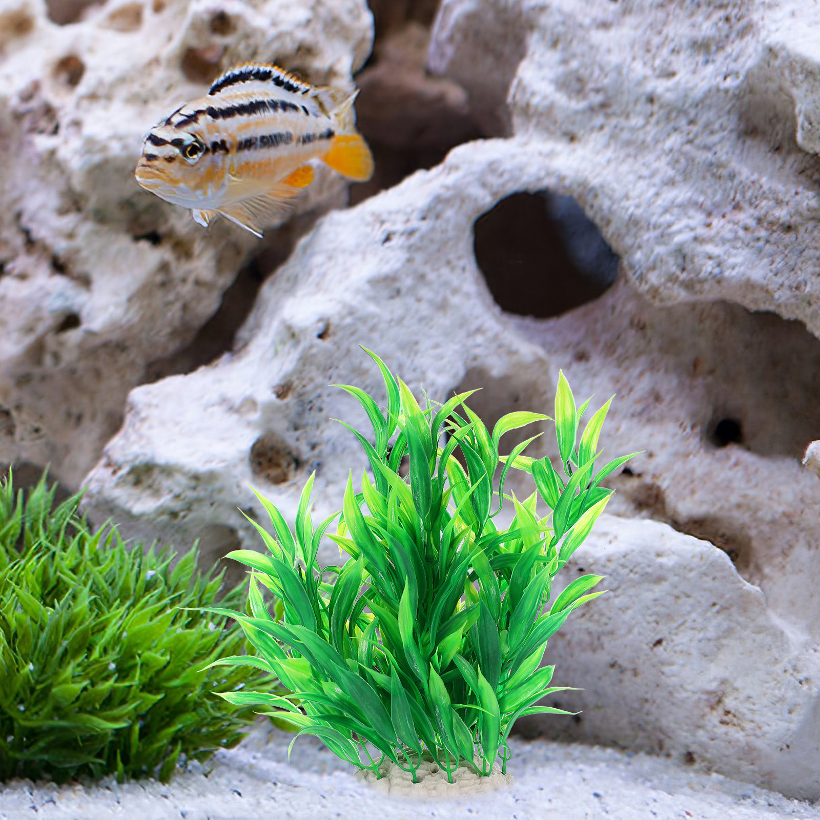 Fish Tank Aquatic Plant Simula - Non Planted Aquarium Fish incelemesi ve fiyatı