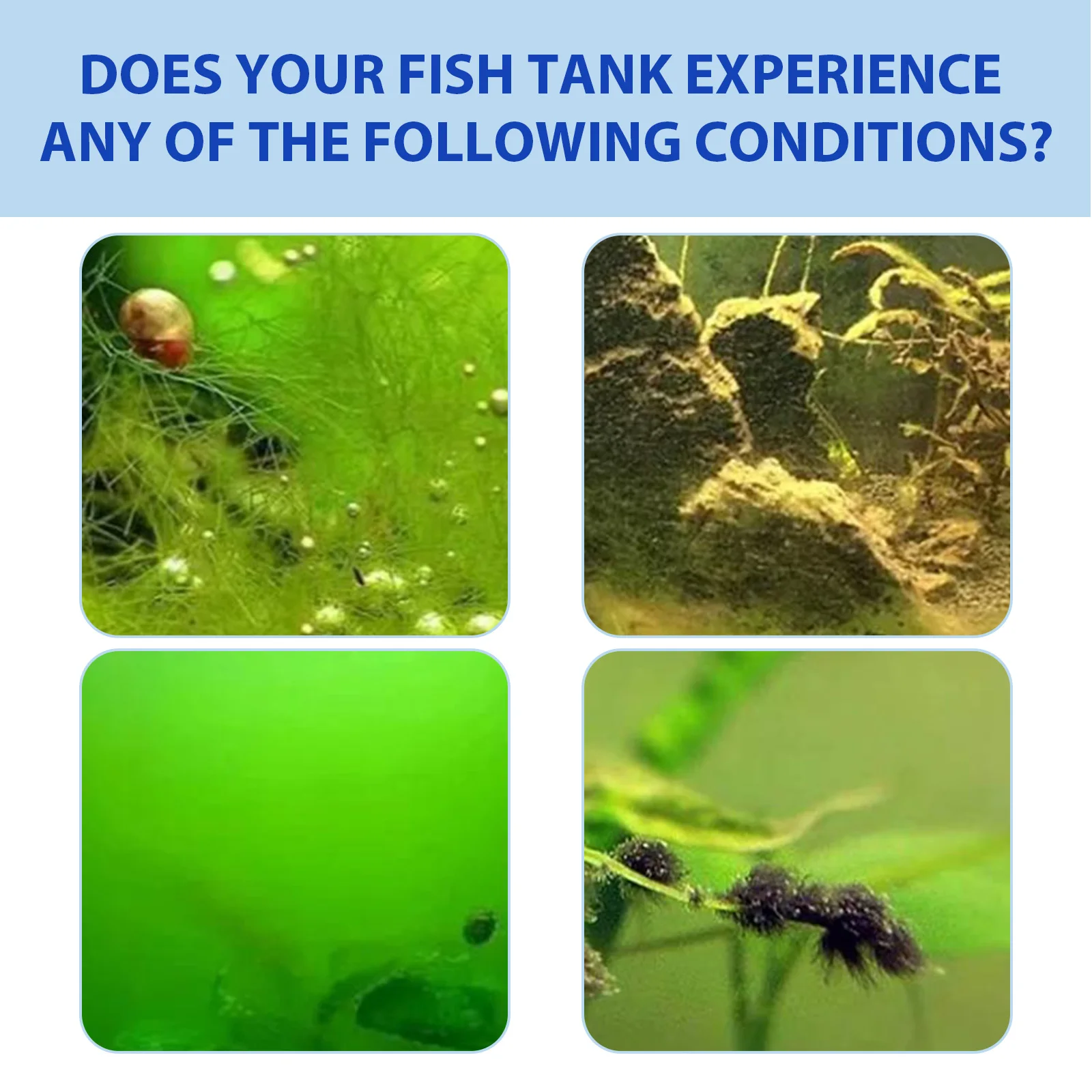 Yegbong Fish Tank Water Purifi - Aquarium Plant Fertilizer incelemesi ve fiyatı