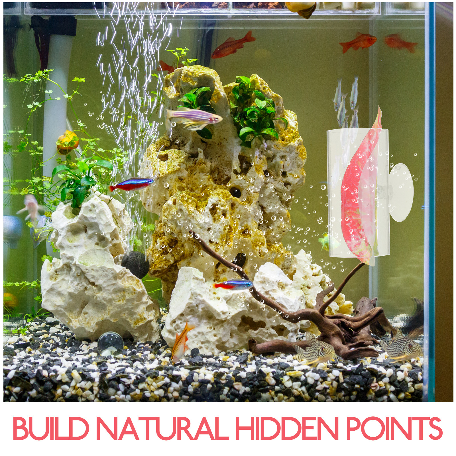 Betta Hide Cave Acrylic Aquari - Planted Aquarium Betta incelemesi ve fiyatı