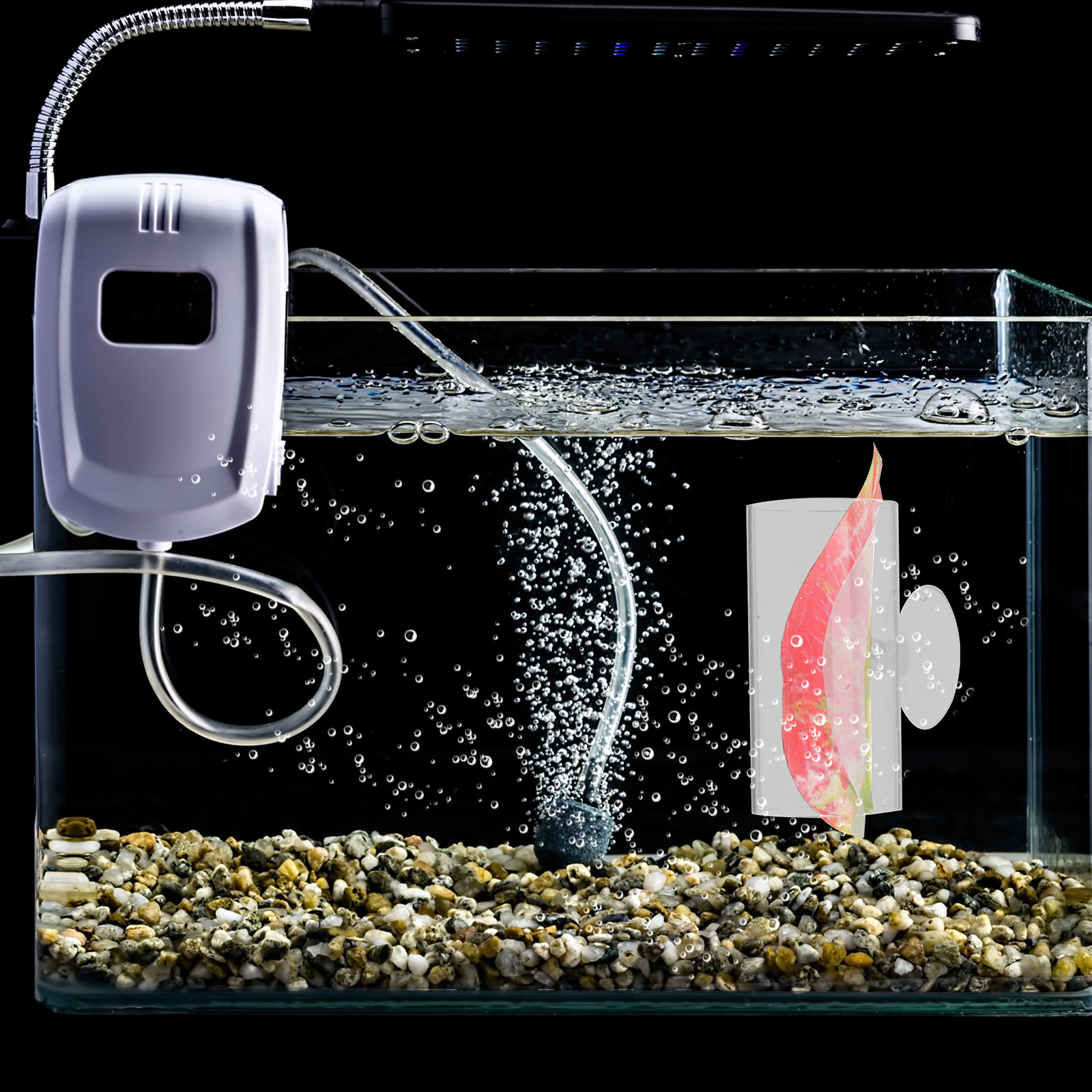 Betta Hide Cave Acrylic Aquari - Planted Aquarium Betta incelemesi ve fiyatı