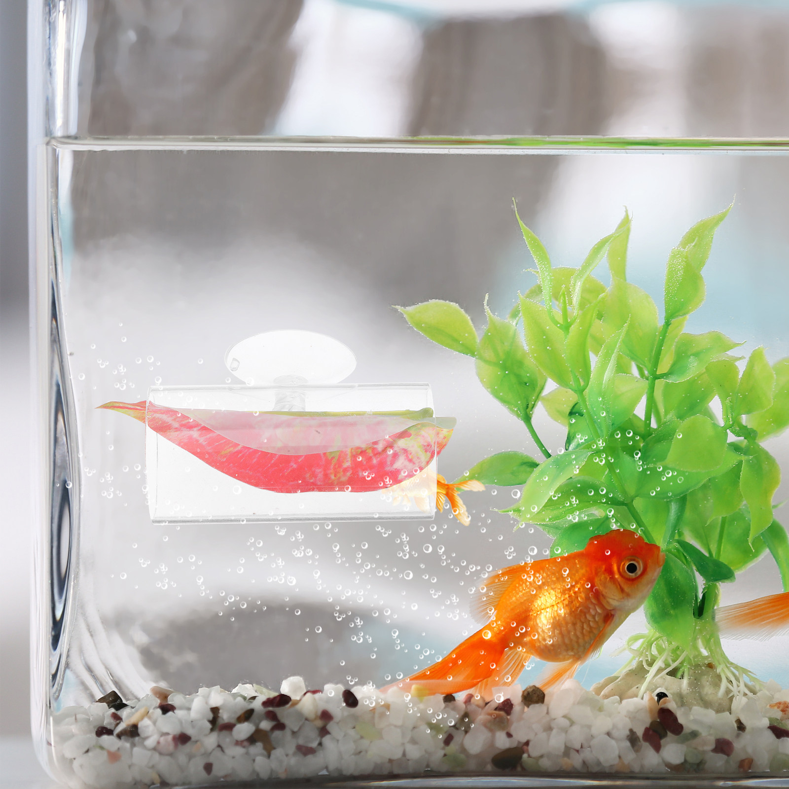 Betta Hide Cave Acrylic Aquari - Planted Aquarium Betta incelemesi ve fiyatı