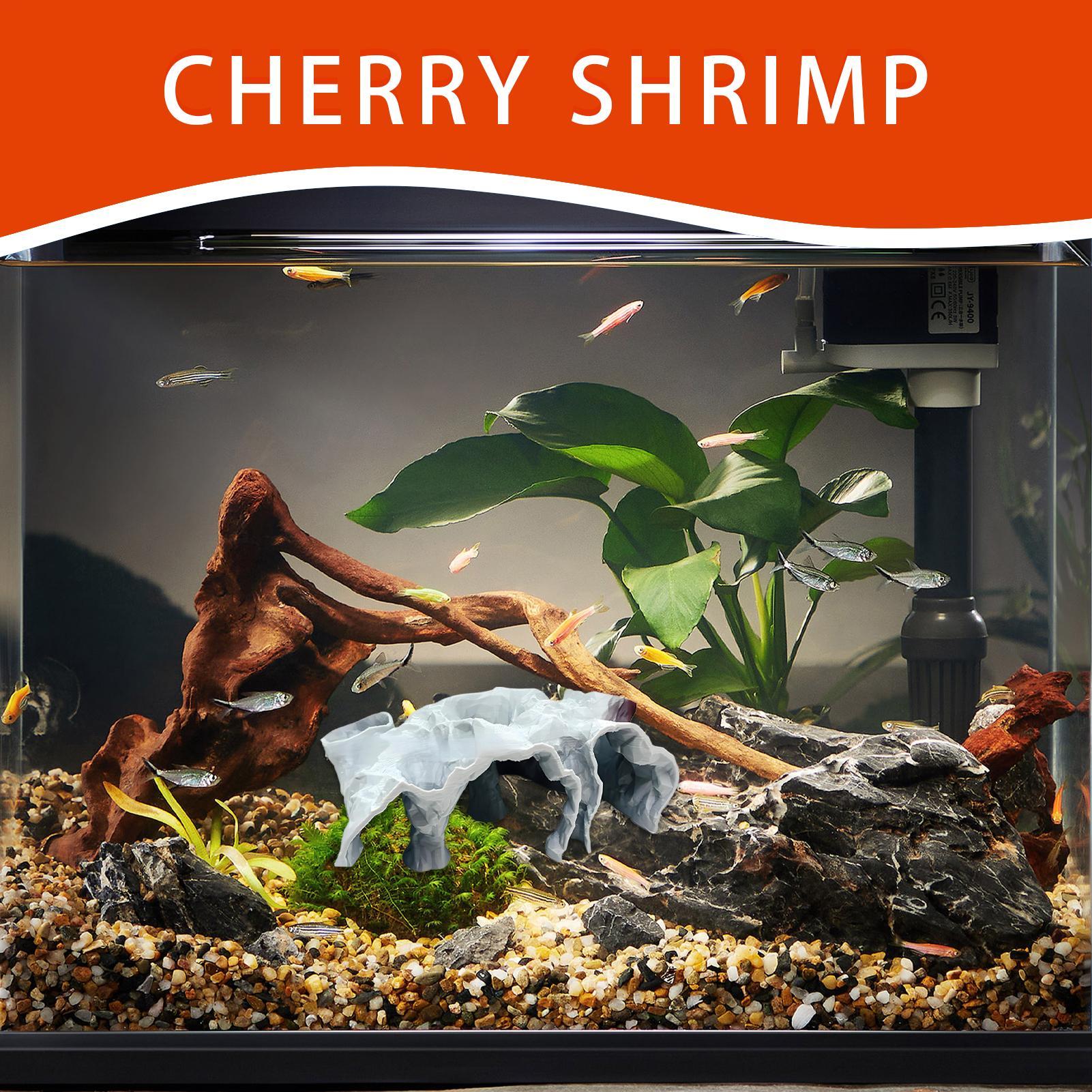 Fish Tank Cave Aquarium Underg - Planted Aquarium Betta incelemesi ve fiyatı