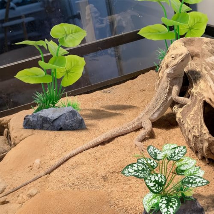 3-Pack Articial Aquarium Plant - Planted Aquarium Betta incelemesi ve fiyatı