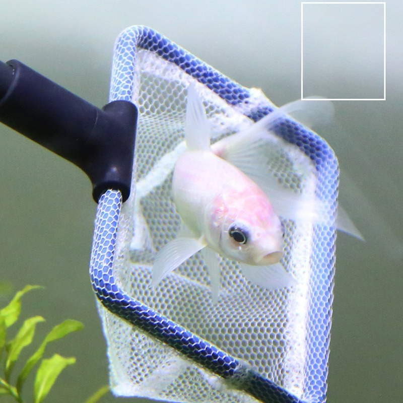 Aquarium Cleaning Tool Set Mul - Planted Aquarium Algae Remover incelemesi ve fiyatı