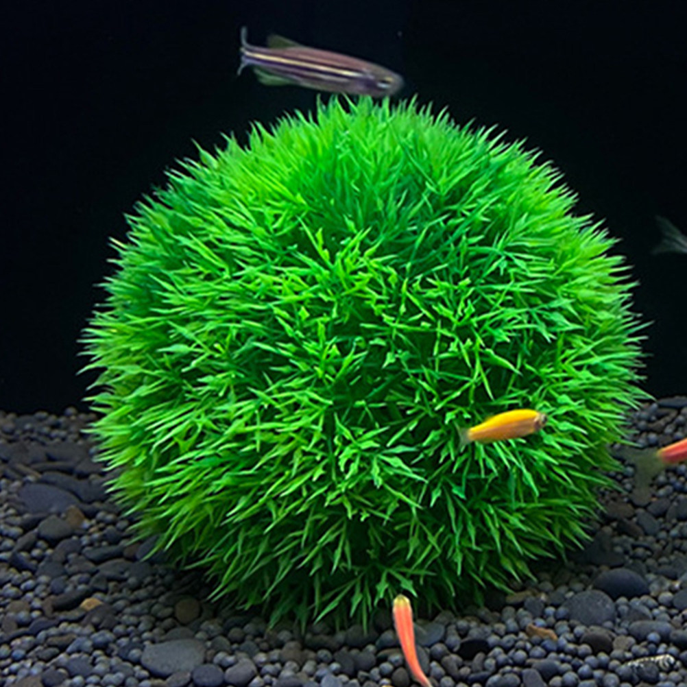4Pcs Lifelike Artificial Aquar - Non Planted Aquarium Fish incelemesi ve fiyatı