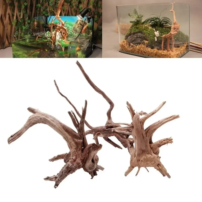 Natural Tree Trunk Driftwood A - Planted Aquarium With Driftwood incelemesi ve fiyatı