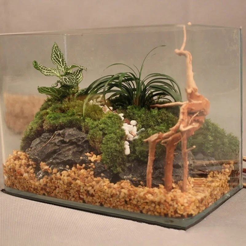Natural Tree Trunk Driftwood A - Planted Aquarium With Driftwood incelemesi ve fiyatı