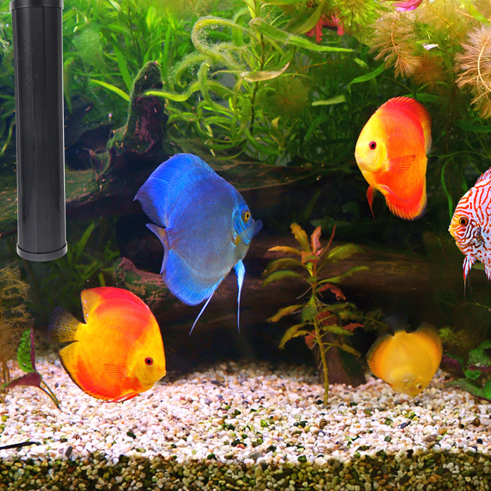 1Pcs Aquarium Uv Compatible Pl - Planted Aquarium Uv Light incelemesi ve fiyatı