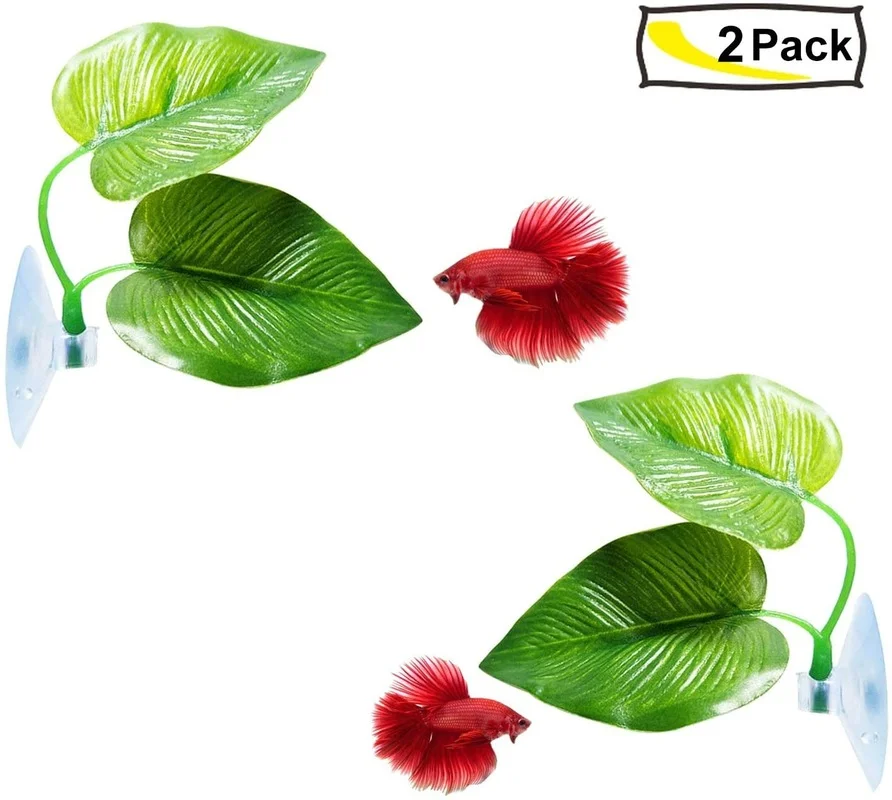 Betta Fish Leaf Hammock Simula - Planted Aquarium Betta incelemesi ve fiyatı
