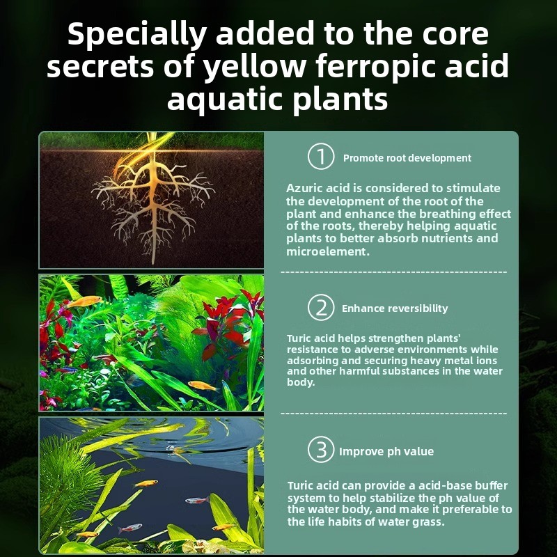 Aquarium Plant Fertilizer - Co - Planted Aquarium Carpet Plant incelemesi ve fiyatı