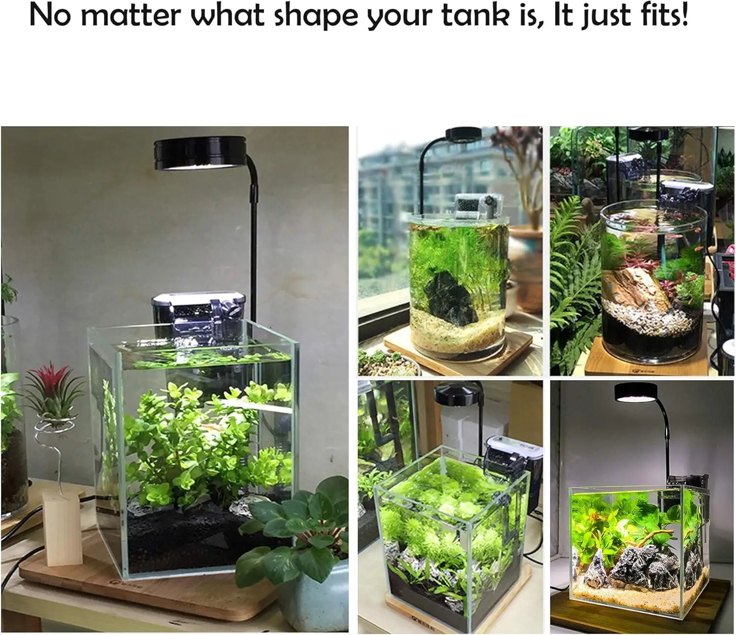 LED Aquarium Grow Light with B - Planted Aquarium Betta incelemesi ve fiyatı