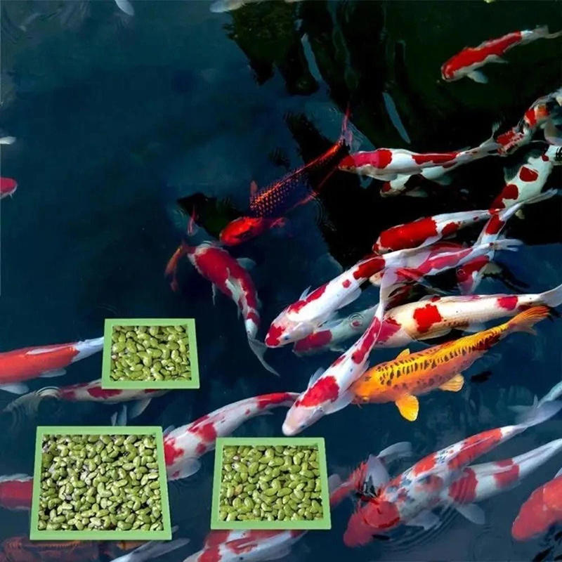 5/10pcs Aquarium Floating Plan - Aquarium Plant Grass incelemesi ve fiyatı