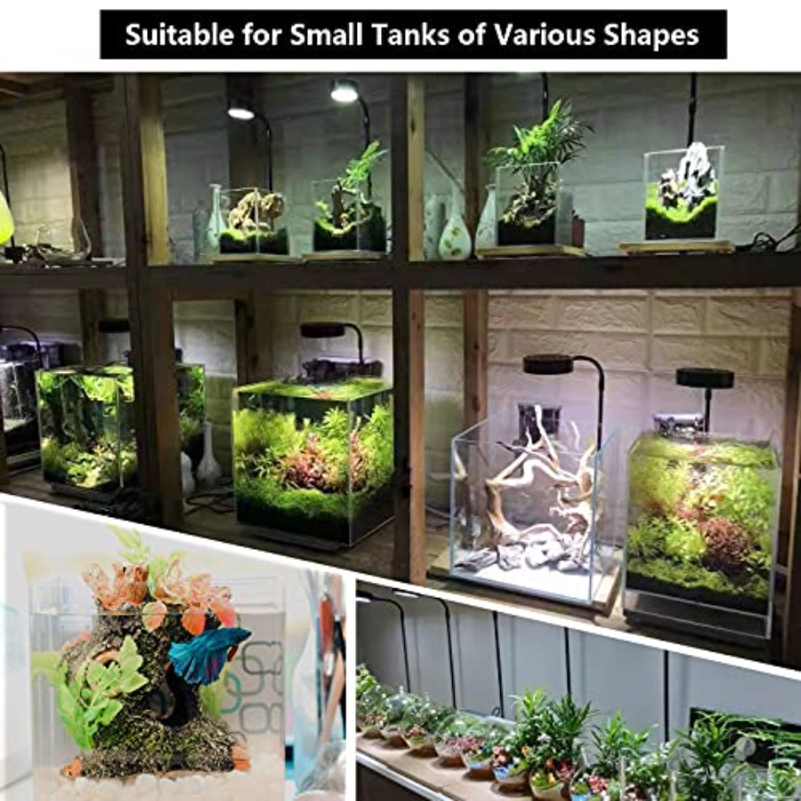 Aquarium Light Full Spectrum L - Planted Aquarium Betta incelemesi ve fiyatı