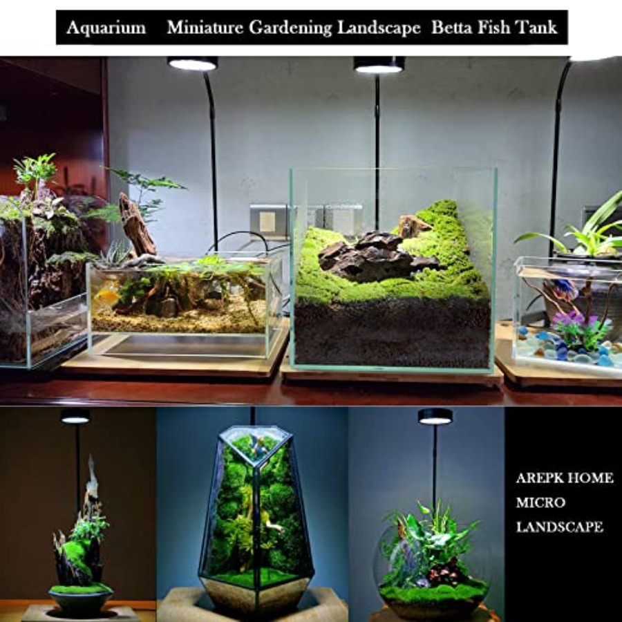Aquarium Light Full Spectrum L - Planted Aquarium Betta incelemesi ve fiyatı
