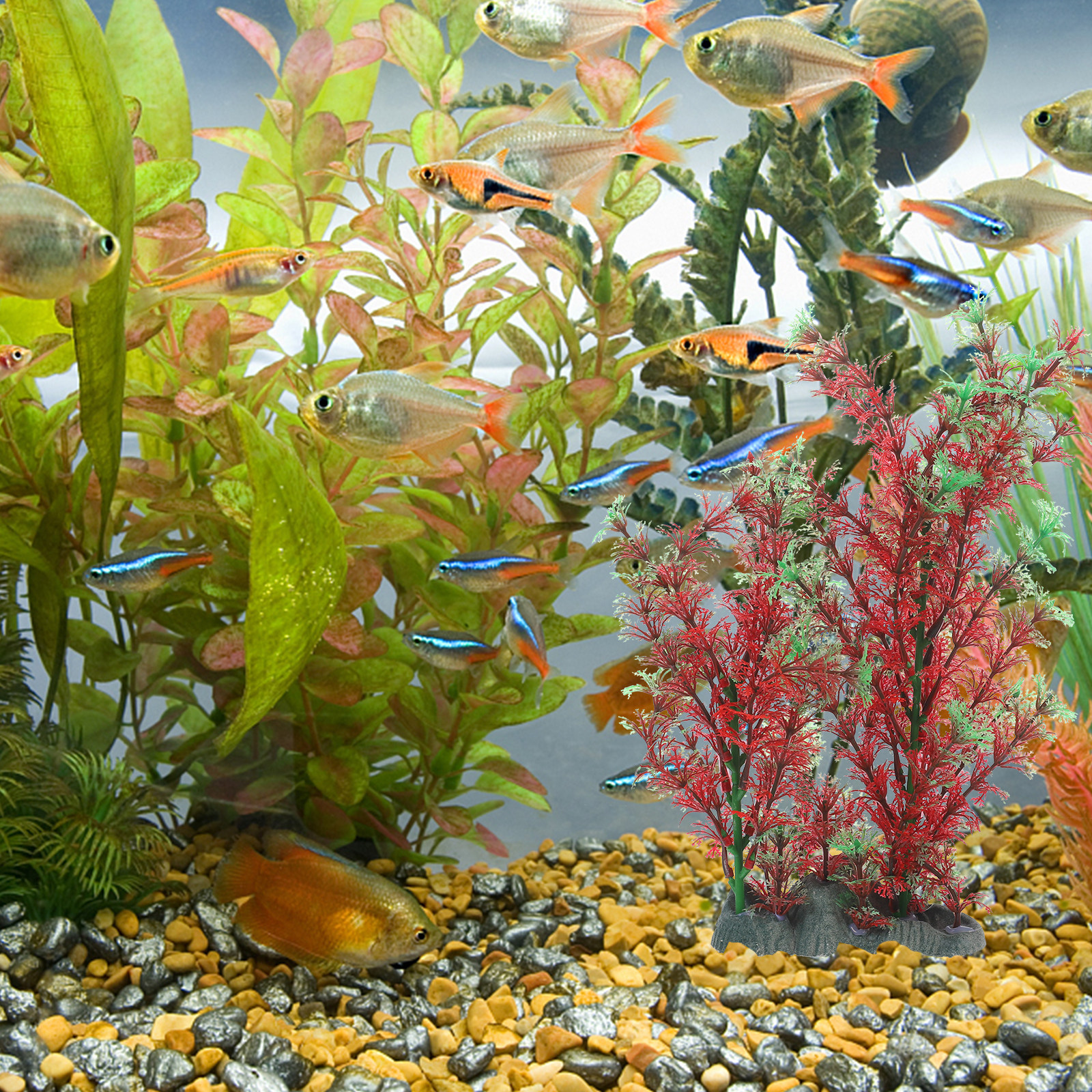 High Quality Artificial Fish T - Non Planted Aquarium Fish incelemesi ve fiyatı