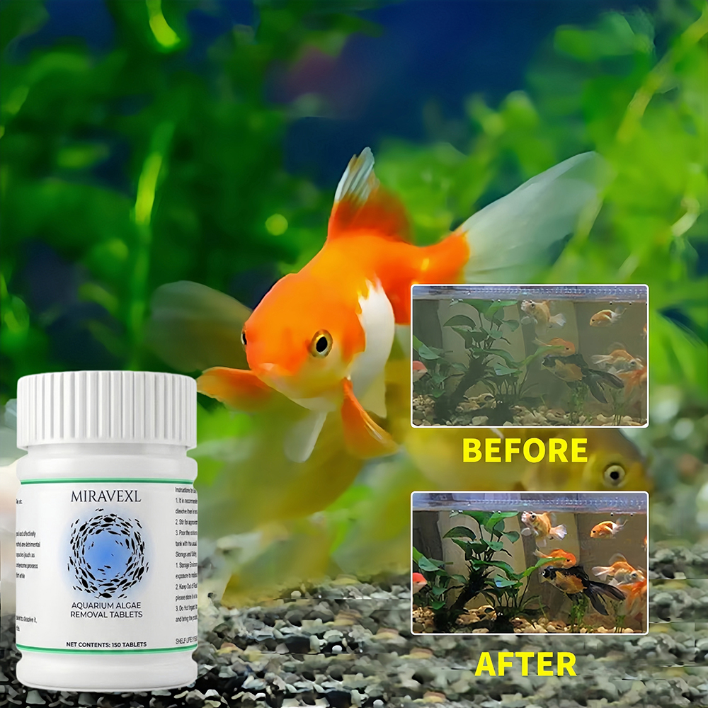 MIRAVEXL Aquarium Algae Remova - Planted Aquarium Algae Remover incelemesi ve fiyatı