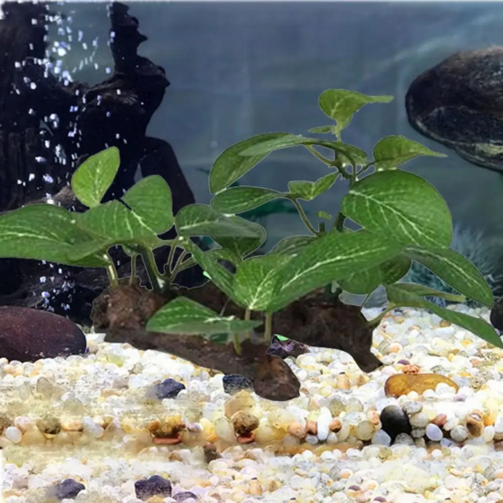 Artificial Grass Decor Realist - Planted Aquarium Carpet Plant incelemesi ve fiyatı